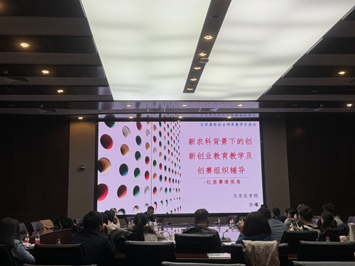 北京农学院创新创业学院副院长孙曦分享.jpg