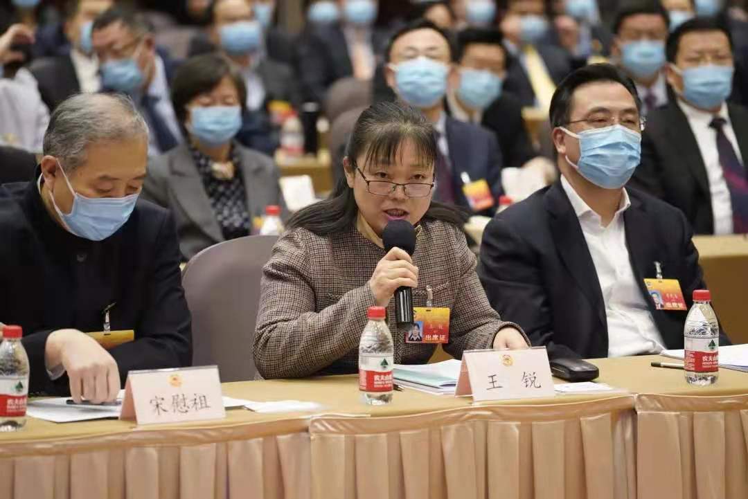 共谋北京新发展—北京服装学院教授王锐委员"两会"发言侧记
